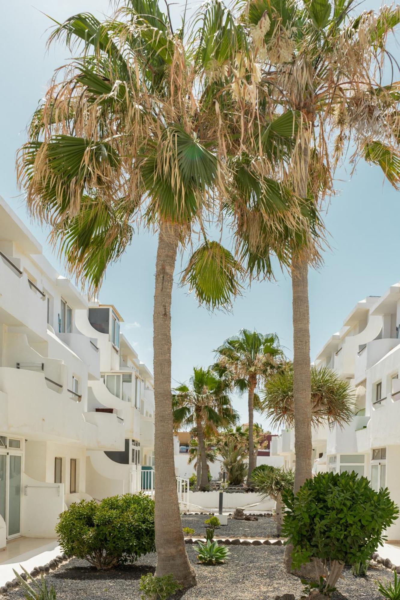 Casa Maja Lägenhet Costa De Antigua Exteriör bild